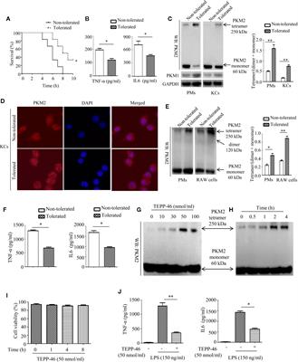 Activator-Mediated Pyruvate Kinase M2 Activation Contributes to Endotoxin Tolerance by Promoting Mitochondrial Biogenesis